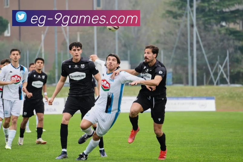 九游会J9COM官网APP 体育赛事宣传图